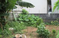 昨日でよかった