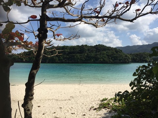 石垣出張