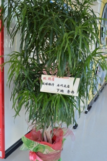 Good Smile 安慶名店　OPEN☆