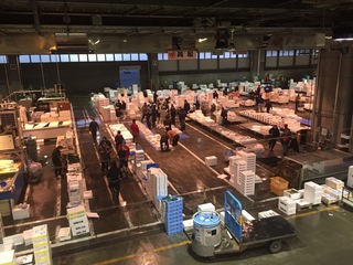 北海道コインランドリー視察