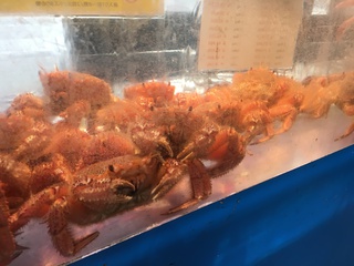 北海道コインランドリー視察