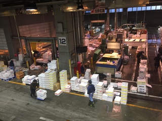 北海道コインランドリー視察