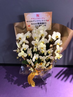 エニタイムフィットネス宮古島店 グランドオープン エニタイムフィットネス宮古島店 グランドオープン