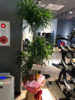 エニタイムフィットネス宮古島店 グランドオープン エニタイムフィットネス宮古島店 グランドオープン