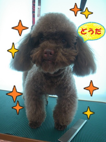 モコモコ♪コロ助くん