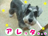 2013年12月05日