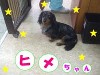 2013年11月28日
