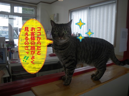 ラムちゃんが好きなこと