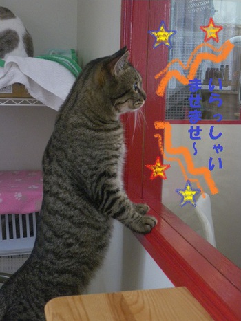 ラムちゃんが好きなこと