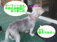 ＭＩＸ犬のリンちゃん 2014/02/16 16:26:41
