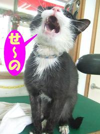 2014年01月07日