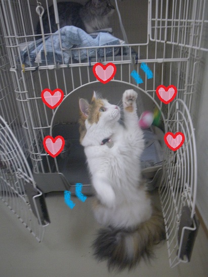 初めてのお泊り♪