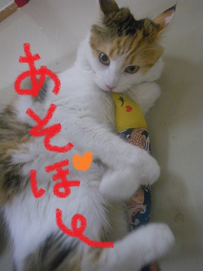 初めてのお泊り♪