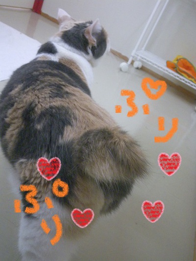 これ、な～んだ？