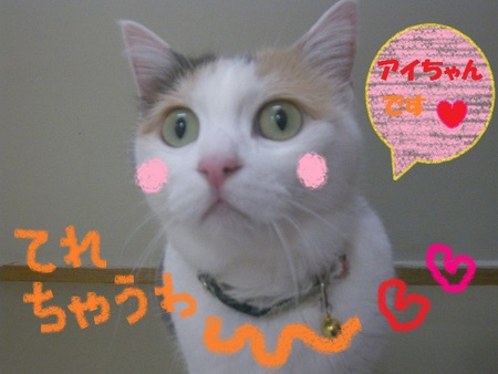 これ、な～んだ？