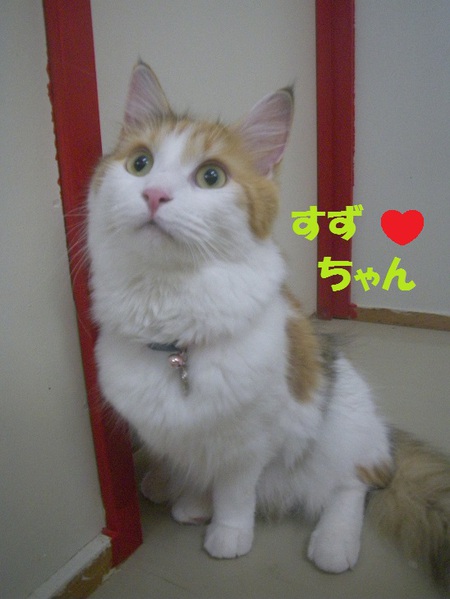 初めてのお泊り♪