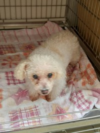 ももチャン♪♪ 2016/08/23 13:37:25