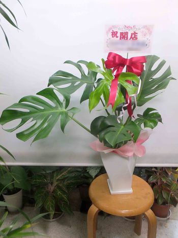 インディア他！