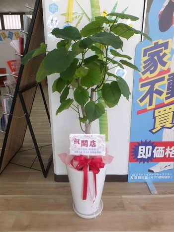 インディア他！
