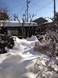 今年もよろしくお願いします。