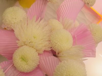 今週のお花