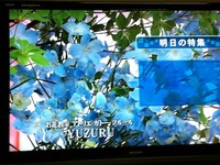 OTV ニュース 2011/05/31 15:00:00
