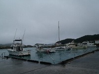 もう直ぐ梅雨が明けるぞ！！ 2012/06/21 08:17:14