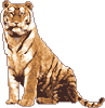 こんにちわ!2010年 2010/01/04 17:40:18