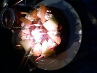 センス？ねぇ～！ 2009/12/24 03:10:36