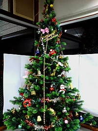 １２月ぅ～♪ 2009/12/01 21:39:48