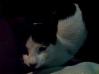 こんなコトってある？！ 2009/12/14 23:38:35