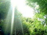 「祈り」 2010/03/20 19:12:42