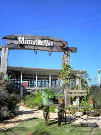 『Anne Cafe』 ディナーLIVE♪ 2011/12/16 00:24:18