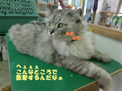みーちゃん初来店
