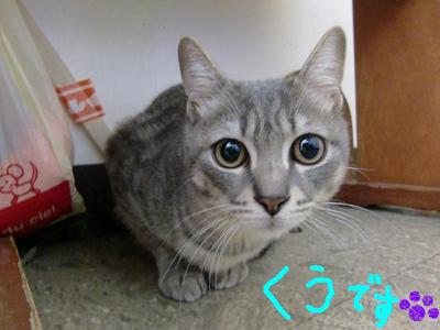 男はつらいよ