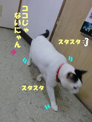 狭いところがお好き
