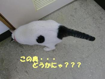 狭いところがお好き