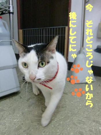 狭いところがお好き