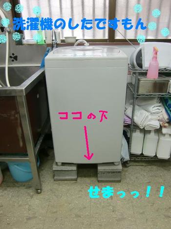 狭いところがお好き