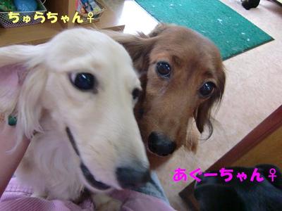 年末年始のお泊り会