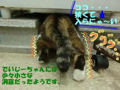 謎の洞窟発見！！