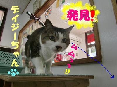 謎の洞窟発見！！