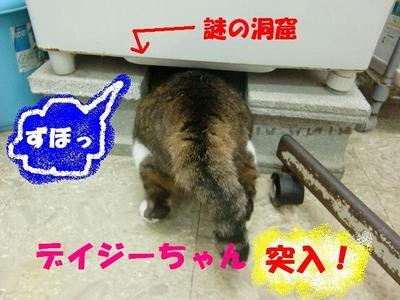 謎の洞窟発見！！
