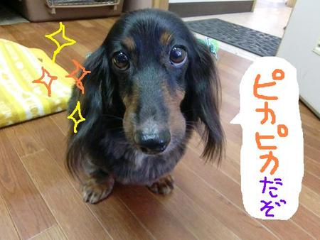 ジェイピーくんです♪♪