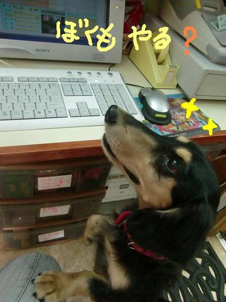 フクちゃんの一日探検