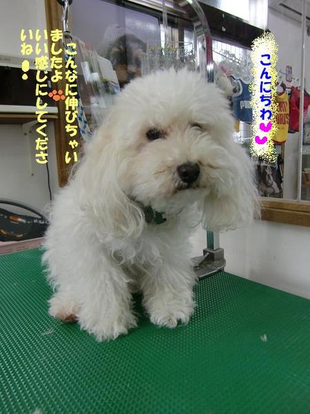 たわいもない会話