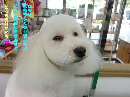 たわいもない会話