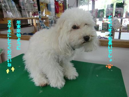 たわいもない会話