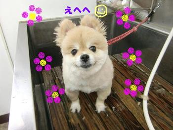 帰りにだんぱちぃ