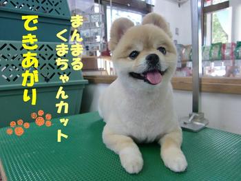 帰りにだんぱちぃ
